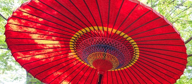 Jelf International's Exclusive Umbrella Scheme