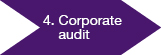 Corporate audit