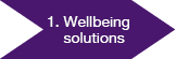 Wellbeing solutions